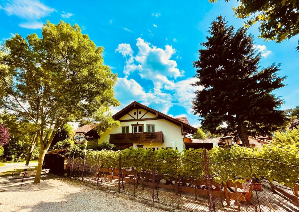 Balatonföldvár Sommer Panzio מראה חיצוני תמונה