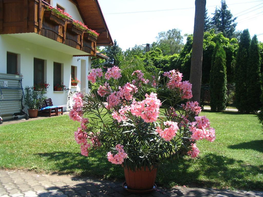 Balatonföldvár Sommer Panzio מראה חיצוני תמונה