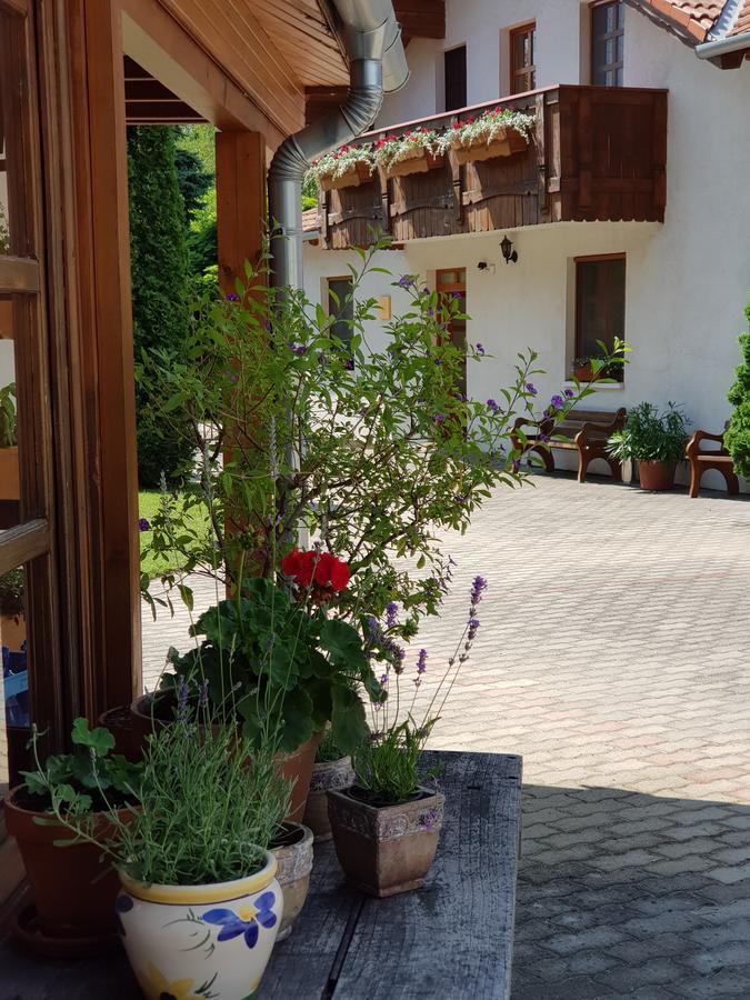 Balatonföldvár Sommer Panzio מראה חיצוני תמונה