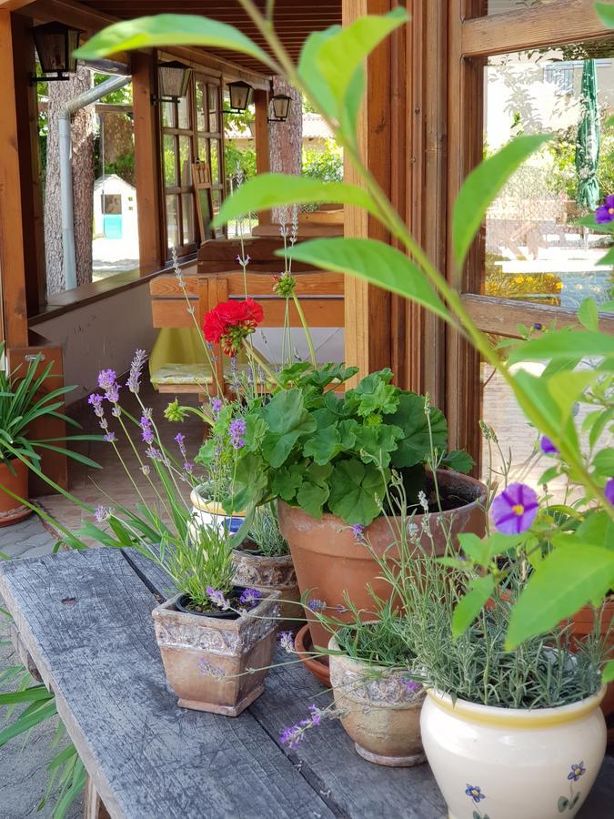 Balatonföldvár Sommer Panzio מראה חיצוני תמונה